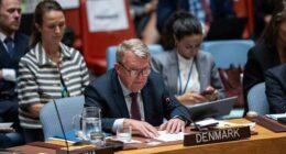 Denmark insists on respect for territorial integrity after Trump appoints envoy to Greenland