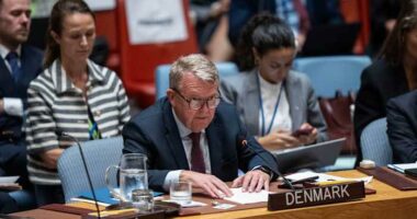 Denmark insists on respect for territorial integrity after Trump appoints envoy to Greenland