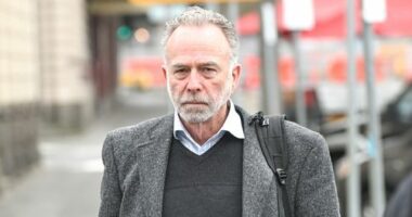 Diabetic driver in bid to dodge five-death inquest