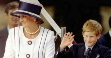 Diana's 'message' for Harry from beyond the grave after Sussexes' first Christmas in California - as late Princess 'said she had a giggle' when Archie broke a Queen-shaped tree ornament