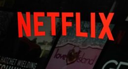 Director convicted of scamming $16.5m from Netflix and going on spending spree