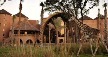 Disney World property employee accused of stealing hundreds of dollars using guest’s checks