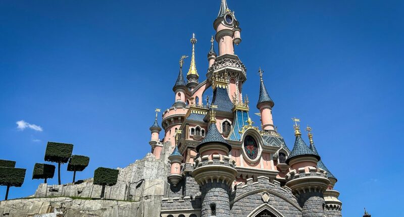 Disneyland covered in TRASH as cleaning staff go on strike