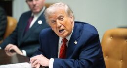 Donald Trump's 'gold card' visa program goes live