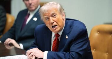 Donald Trump's 'gold card' visa program goes live