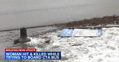 Driver cited for CTA bus crash that killed Tracy Frasure in 7000-block of South South Shore Drive in South Shore: Chicago police