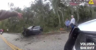 Driver claims he ‘teleported’ into stolen BMW before Volusia crash, deputies say