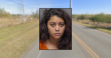 Drunk-driving mom crashed SUV with 6 kids inside: Cops