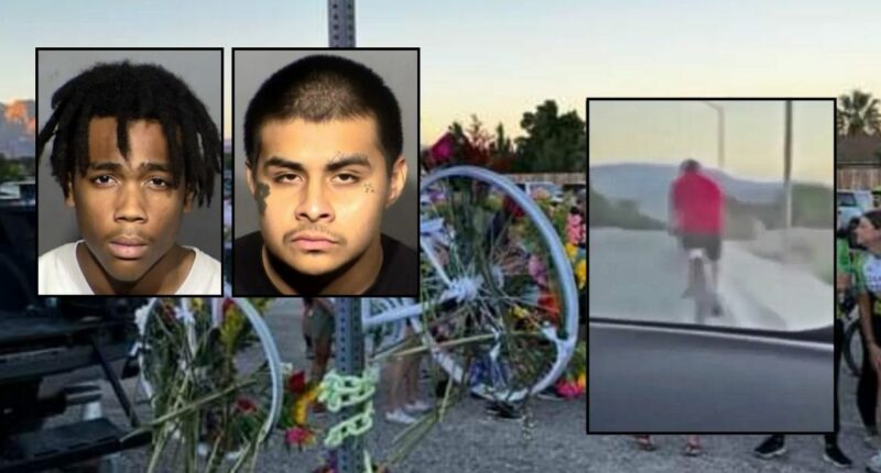 Duo admits they mowed down retired police chief riding bike