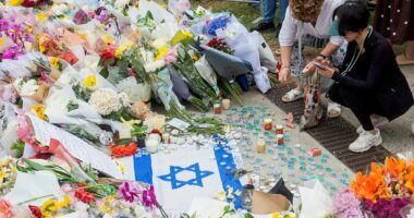 EUAN McCOLM: The horrific scenes in Sydney will happen again - the legacy of 'progressives' who allowed anti-Semitism to flourish unchallenged