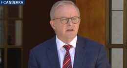 Eight days later, Albo says sorry: PM apologises to Jewish community