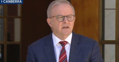 Eight days later, Albo says sorry: PM apologises to Jewish community