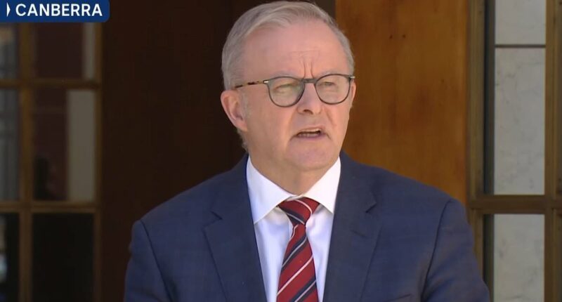 Eight days later, Albo says sorry: PM apologises to Jewish community
