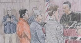 'El Chapo' son and Sinaloa cartel kingpin Joaquin Guzman Lopez confesses to drug trafficking, kidnapping in court in Chicago