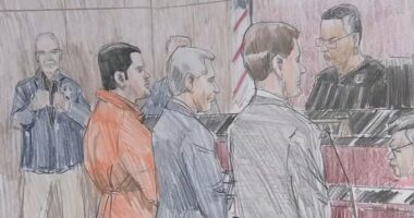 'El Chapo' son and Sinaloa cartel kingpin Joaquin Guzman Lopez confesses to drug trafficking, kidnapping in court in Chicago
