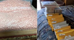 Elderly Texas woman learns fate for distributing 150K doses of fentanyl through the mail