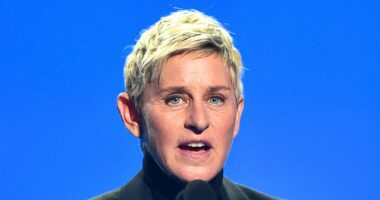 Ellen DeGeneres careless driving suit in 2023 car crash takes new turn