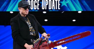 Elon Musk's 13 largest DOGE 'chainsaw' cuts were bunk, blockbuster report uncovers