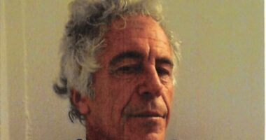 Epstein's final days lived out in terror and torment