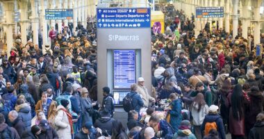 Eurostar forced to cancel all services to and from London after 'major disruption' in Channel Tunnel