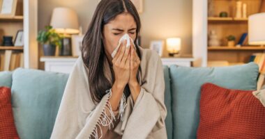 Everyday item may be a 'huge source of disease spread', expert warns