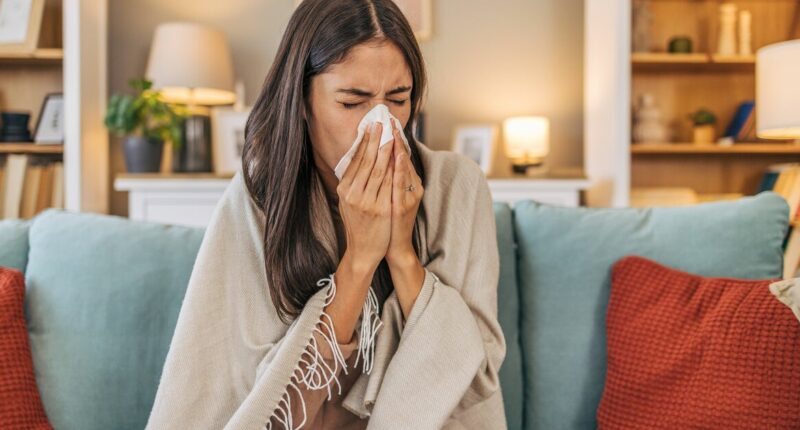 Everyday item may be a 'huge source of disease spread', expert warns