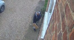 Evri courier 'delivers' parcel before picking it up and driving off 