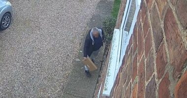 Evri courier 'delivers' parcel before picking it up and driving off 