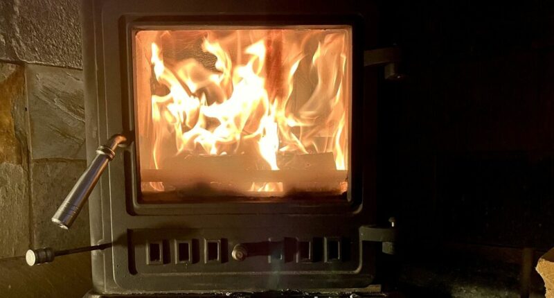Expert’s wood burner warning as 1 thing brings health risk