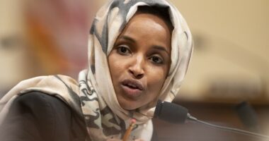 Exposed: Tim Walz and Ilhan Omar Caught Posing in Photos with Illegal Somali Fraudster
