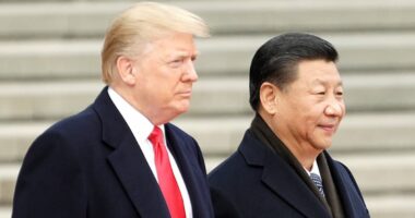 FBI agents yanked off spy cases as insiders complain Trump is pumping brake on China crackdown... to play nice with Xi