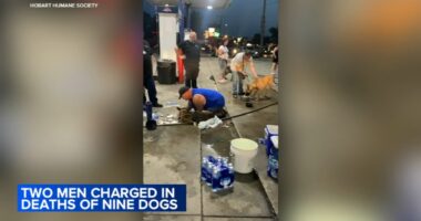 F.M. K9 owner Michael McHenry found not guilty of animal cruelty after 9 overheated dogs in truck die in Lake Station, Indiana