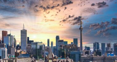 Families flee Toronto over soaring house prices and safety concerns