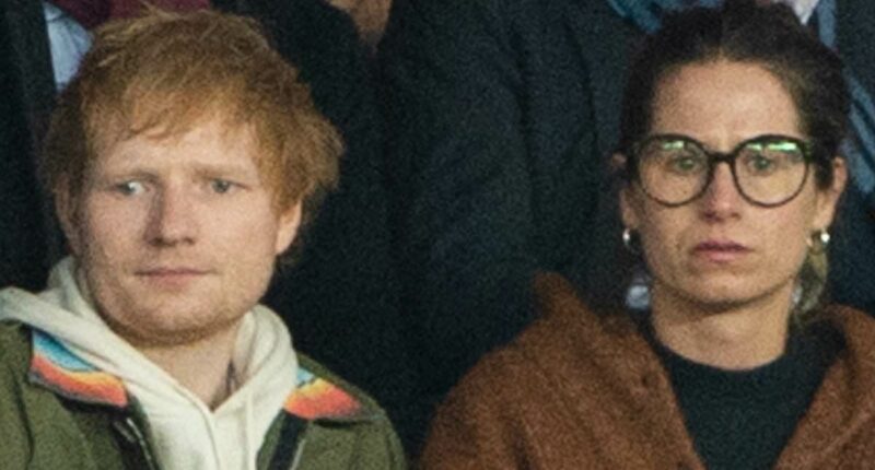 Fans fear Ed Sheeran is hinting marriage to Cherry Seaborn is over