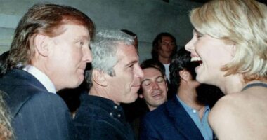 Fears Trump administration will redact too much in Epstein documents