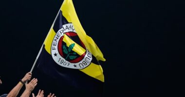 Fenerbahce president detained in Istanbul drug investigation after positive narcotics test