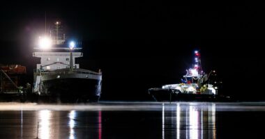 Finnish police seize ship after undersea cables damaged in Baltic Sea