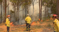 Buladelah bushfire warnings
