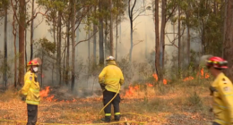 Buladelah bushfire warnings