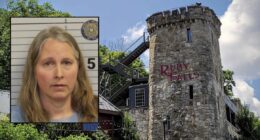 First grade teacher fighting her own children to get phone back forces child to protect sibling from her biting: Police