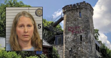 First grade teacher fighting her own children to get phone back forces child to protect sibling from her biting: Police