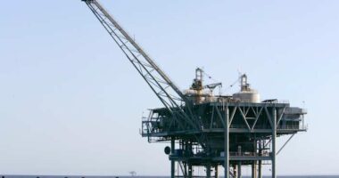 Florida congressional Republicans tell Trump to keep oil drilling off state's coasts