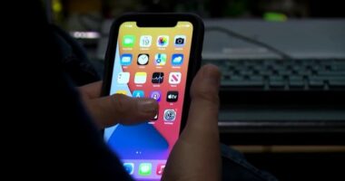 Florida lawmakers consider ‘Ya Ya Alert Act’ to improve real-time threat notifications