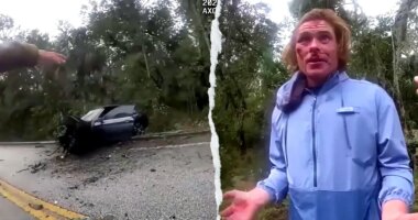 Florida man allegedly crashes stolen BMW, gives bizarre explanation to deputies: 'I teleported'