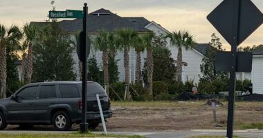 Florida man charged with DUI in golf cart crash that fatally injured his wife