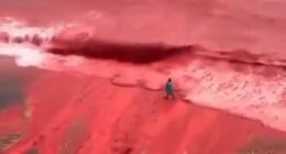 'Flowing red blood' surges in Persian Gulf sparking biblical fear