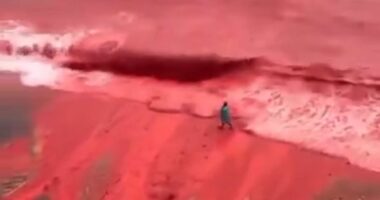 'Flowing red blood' surges in Persian Gulf sparking biblical fear