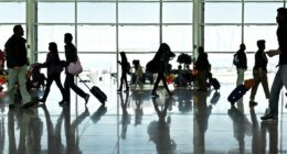 Flying with presents? Here's how the FAA says you should pack them