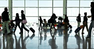 Flying with presents? Here's how the FAA says you should pack them