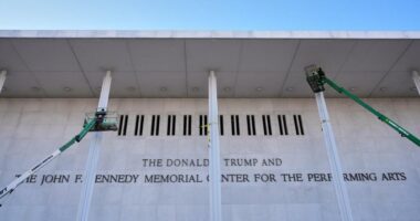 Former ‘South Park’ writer owns Trump Kennedy Center domain names
